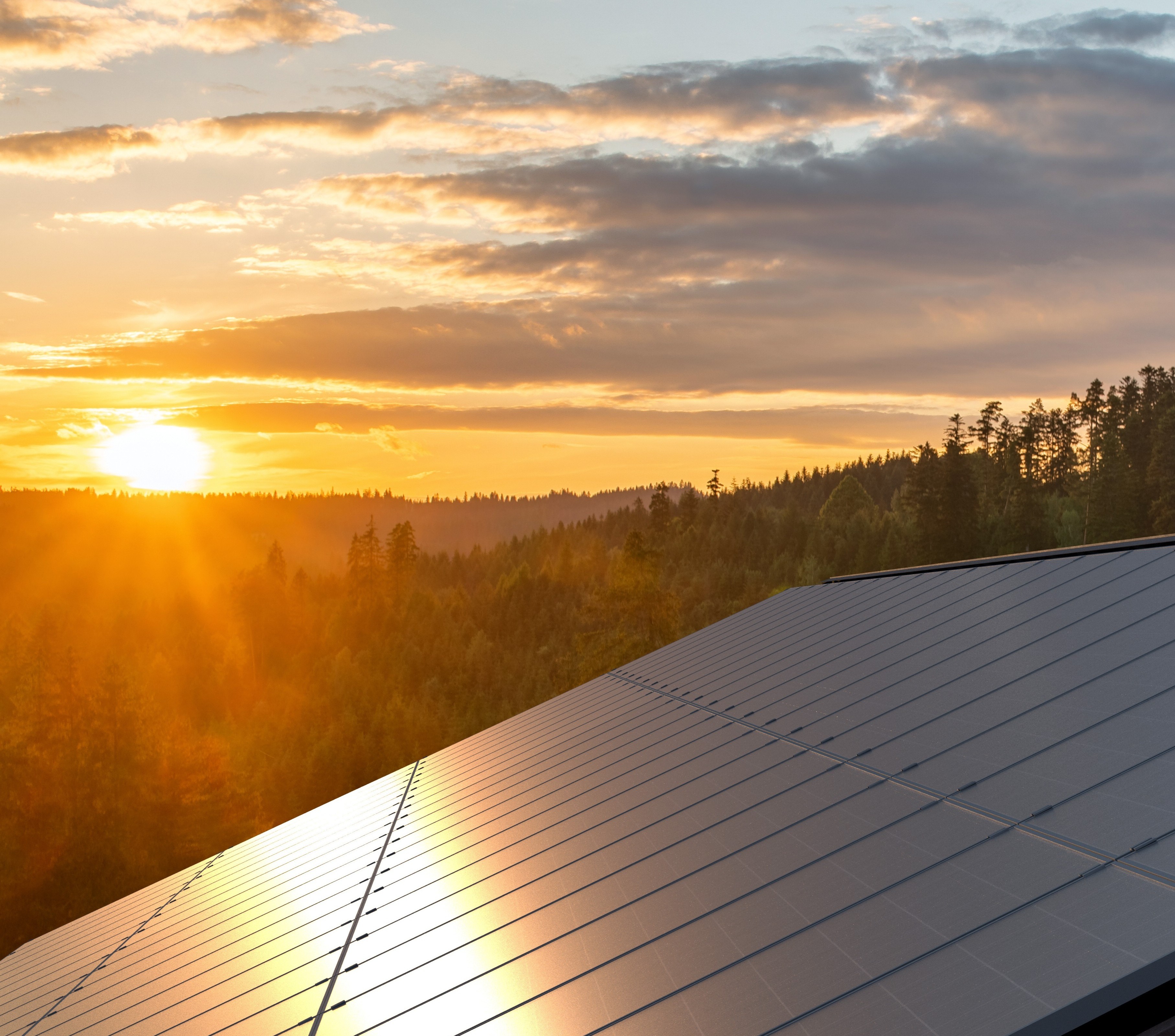 sunset over solar panels